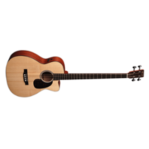 BCPA4 acoustic/electric bass guitar