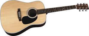 D28 Standard Dreadnought Acoustic/Electric Guitar