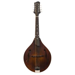 MD 505 Mandolin w/pickup